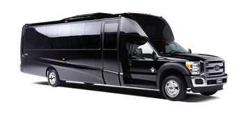 Mini Coach (30 Passengers)